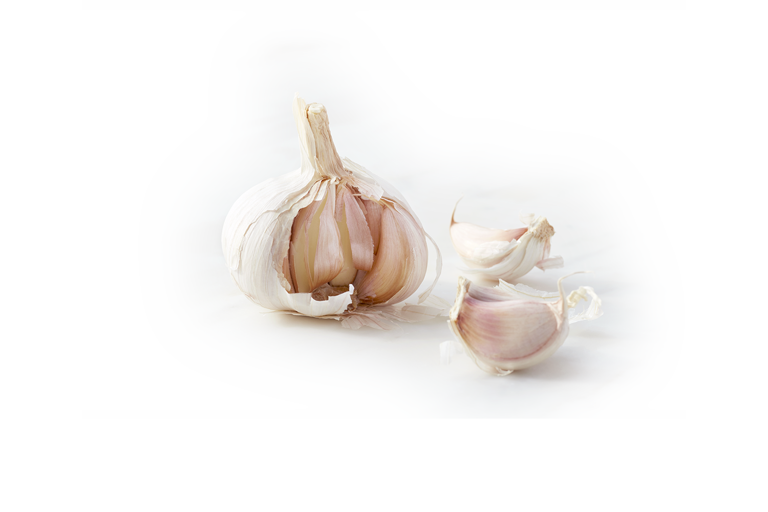 ARE-YOU-READY-TO-PIZZA